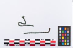 Foto von Bronzeschwanenhalsnadel (NHMW-PRAE-035778)